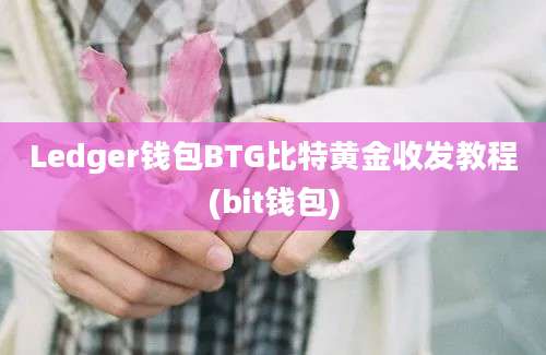 Ledger钱包BTG比特黄金收发教程(bit钱包)