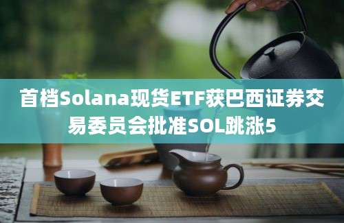 首档Solana现货ETF获巴西证券交易委员会批准SOL跳涨5