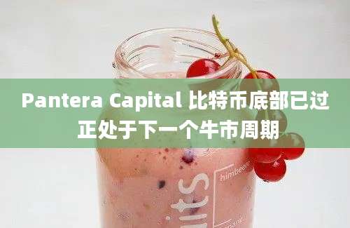 Pantera Capital 比特币底部已过 正处于下一个牛市周期