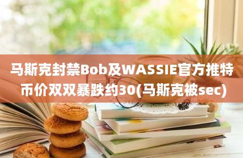 马斯克封禁Bob及WASSIE官方推特 币价双双暴跌约30(马斯克被sec)