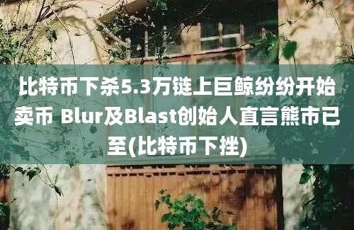 比特币下杀5.3万链上巨鲸纷纷开始卖币 Blur及Blast创始人直言熊市已至(比特币下挫)