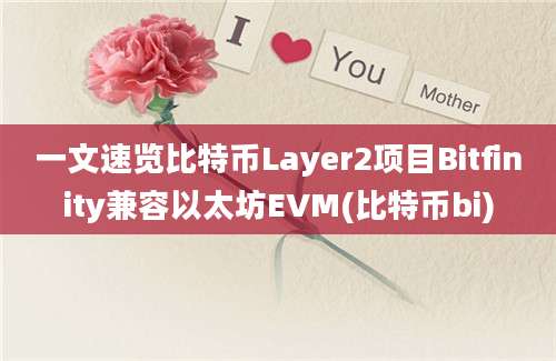 一文速览比特币Layer2项目Bitfinity兼容以太坊EVM(比特币bi)