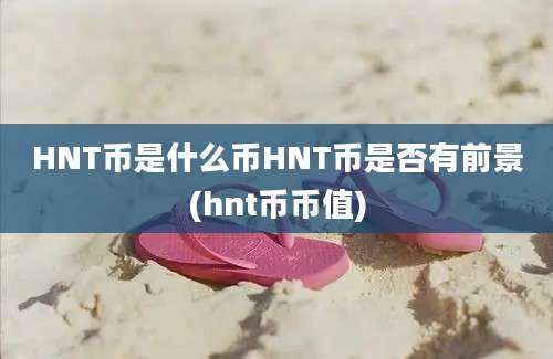 HNT币是什么币HNT币是否有前景(hnt币币值)