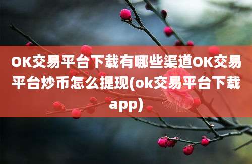 OK交易平台下载有哪些渠道OK交易平台炒币怎么提现(ok交易平台下载app)