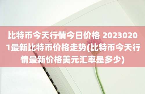 比特币今天行情今日价格 20230201最新比特币价格走势(比特币今天行情最新价格美元汇率是多少)