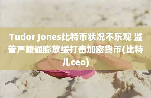 Tudor Jones比特币状况不乐观 监管严峻通膨放缓打击加密货币(比特儿ceo)