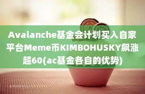 Avalanche基金会计划买入自家平台Meme币KIMBOHUSKY飙涨超60(ac基金各自的优势)