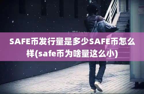 SAFE币发行量是多少SAFE币怎么样(safe币为啥量这么小)