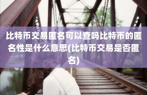 比特币交易匿名可以查吗比特币的匿名性是什么意思(比特币交易是否匿名)