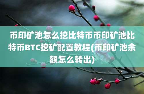 币印矿池怎么挖比特币币印矿池比特币BTC挖矿配置教程(币印矿池余额怎么转出)