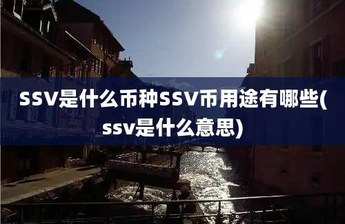 SSV是什么币种SSV币用途有哪些(ssv是什么意思)