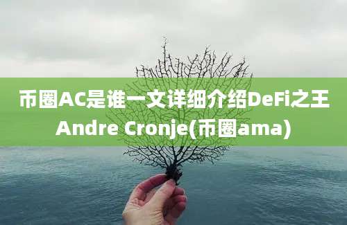 币圈AC是谁一文详细介绍DeFi之王Andre Cronje(币圈ama)