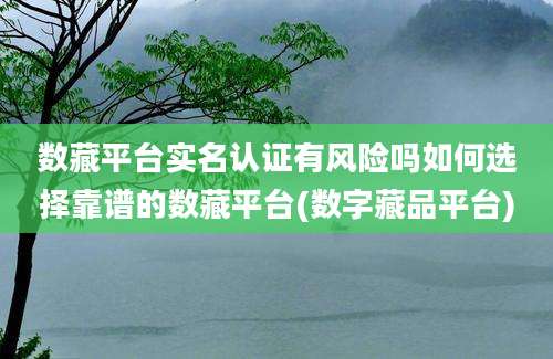 数藏平台实名认证有风险吗如何选择靠谱的数藏平台(数字藏品平台)