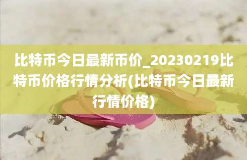 比特币今日最新币价_20230219比特币价格行情分析(比特币今日最新行情价格)