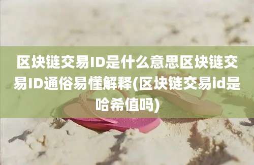 区块链交易ID是什么意思区块链交易ID通俗易懂解释(区块链交易id是哈希值吗)