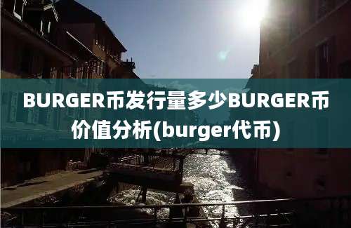 BURGER币发行量多少BURGER币价值分析(burger代币)