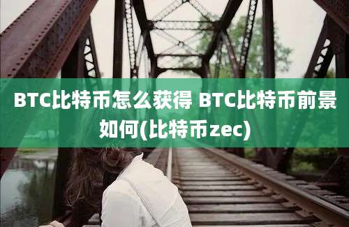 BTC比特币怎么获得 BTC比特币前景如何(比特币zec)