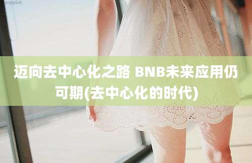 迈向去中心化之路 BNB未来应用仍可期(去中心化的时代)