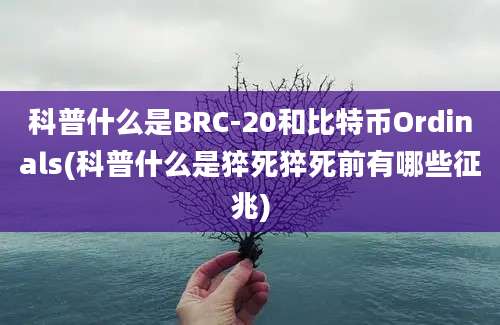 科普什么是BRC-20和比特币Ordinals(科普什么是猝死猝死前有哪些征兆)