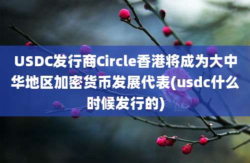 USDC发行商Circle香港将成为大中华地区加密货币发展代表(usdc什么时候发行的)