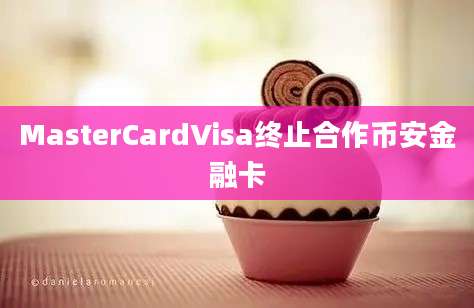 MasterCardVisa终止合作币安金融卡