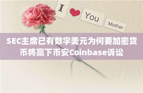 SEC主席已有数字美元为何要加密货币将赢下币安Coinbase诉讼