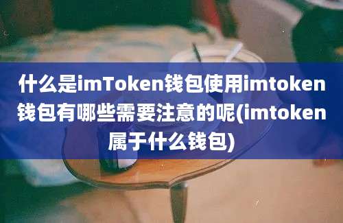 什么是imToken钱包使用imtoken钱包有哪些需要注意的呢(imtoken属于什么钱包)