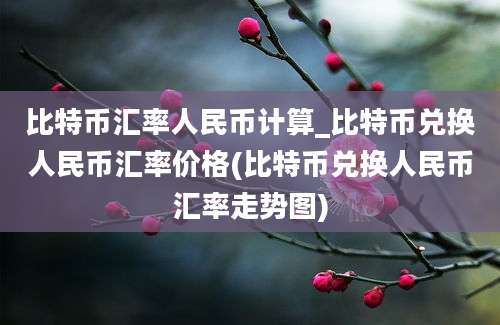 比特币汇率人民币计算_比特币兑换人民币汇率价格(比特币兑换人民币汇率走势图)