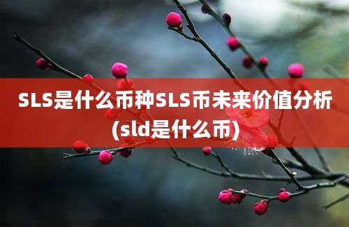 SLS是什么币种SLS币未来价值分析(sld是什么币)