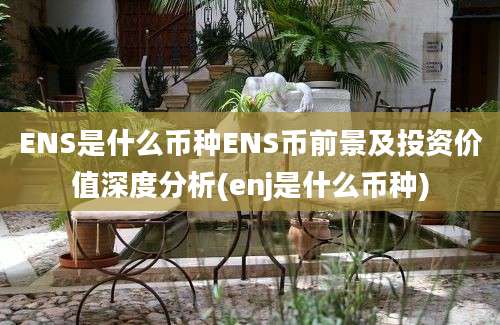 ENS是什么币种ENS币前景及投资价值深度分析(enj是什么币种)