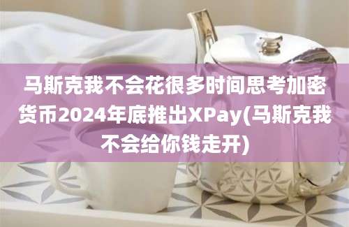 马斯克我不会花很多时间思考加密货币2024年底推出XPay(马斯克我不会给你钱走开)