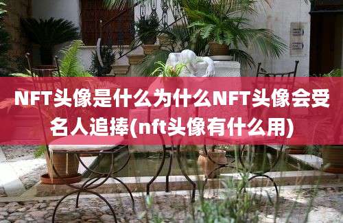 NFT头像是什么为什么NFT头像会受名人追捧(nft头像有什么用)