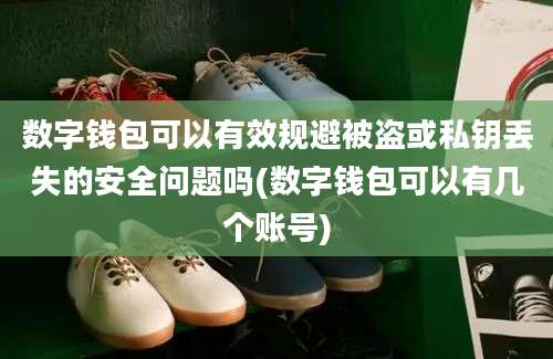 数字钱包可以有效规避被盗或私钥丢失的安全问题吗(数字钱包可以有几个账号)