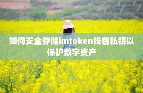 如何安全存储imtoken钱包私钥以保护数字资产