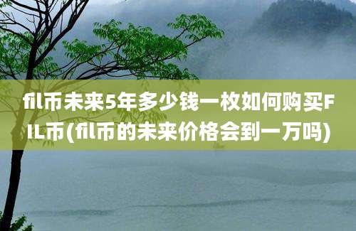 fil币未来5年多少钱一枚如何购买FIL币(fil币的未来价格会到一万吗)