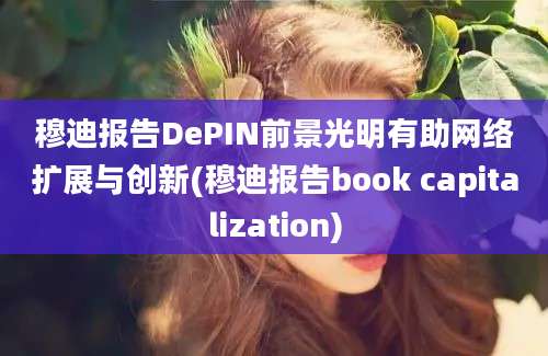 穆迪报告DePIN前景光明有助网络扩展与创新(穆迪报告book capitalization)