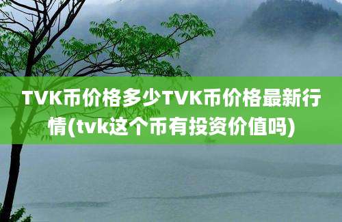 TVK币价格多少TVK币价格最新行情(tvk这个币有投资价值吗)