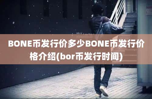 BONE币发行价多少BONE币发行价格介绍(bor币发行时间)