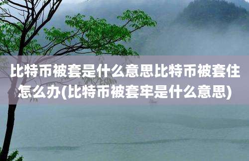 比特币被套是什么意思比特币被套住怎么办(比特币被套牢是什么意思)