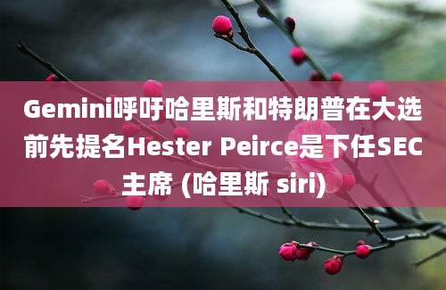 Gemini呼吁哈里斯和特朗普在大选前先提名Hester Peirce是下任SEC主席 (哈里斯 siri)