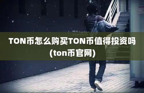 TON币怎么购买TON币值得投资吗(ton币官网)