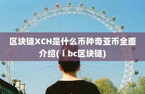 区块链XCH是什么币种奇亚币全面介绍(ⅰbc区块链)