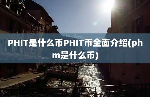 PHIT是什么币PHIT币全面介绍(phm是什么币)