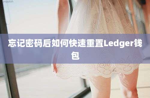 忘记密码后如何快速重置Ledger钱包