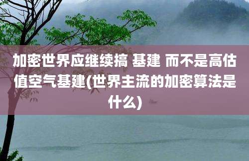 加密世界应继续搞 基建 而不是高估值空气基建(世界主流的加密算法是什么)