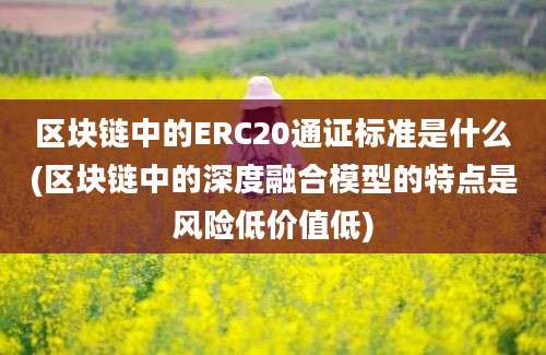 区块链中的ERC20通证标准是什么(区块链中的深度融合模型的特点是风险低价值低)