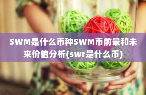 SWM是什么币种SWM币前景和未来价值分析(swr是什么币)