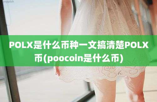 POLX是什么币种一文搞清楚POLX币(poocoin是什么币)