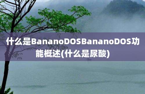 什么是BananoDOSBananoDOS功能概述(什么是尿酸)