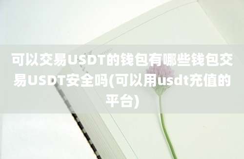 可以交易USDT的钱包有哪些钱包交易USDT安全吗(可以用usdt充值的平台)